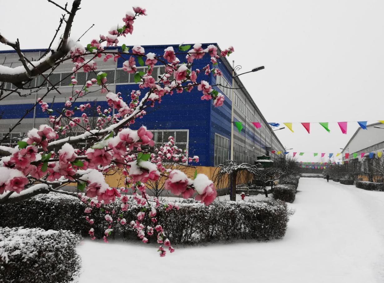 FH至尊·(中国)有限公司官网