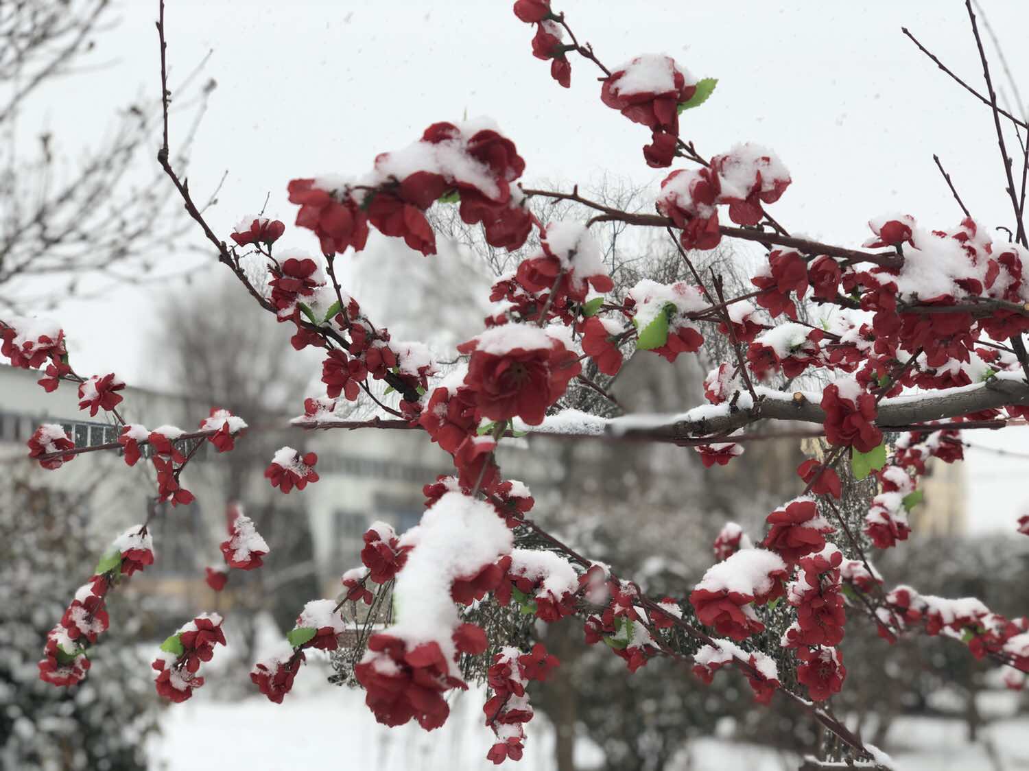 FH至尊·(中国)有限公司官网